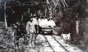 Penambangan PT Timah di Babel Harmonisasi Keberagaman Etnis yang Terjaga