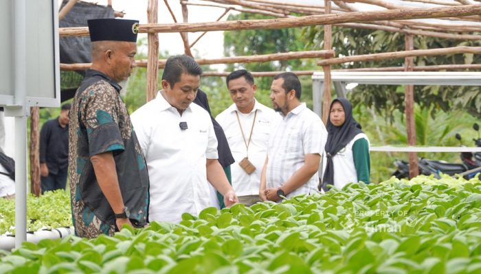 Bersama PT Timah, Kelompok Hidroponik Lanjut Bestari Bangun Ketahanan Pangan dari Desa