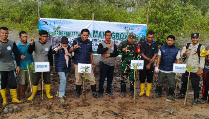 Mangrove untuk Pesisir Berkelanjutan, PT Timah Kembali Tanam Ribuan Mangrove di Desa Sawang Laut