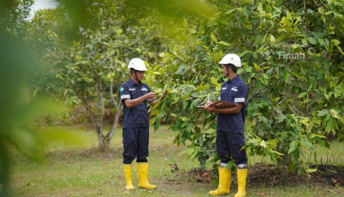 Reklamasi Berkelanjutan, Upaya PT Timah Jaga Ekosistem Pasca Tambang