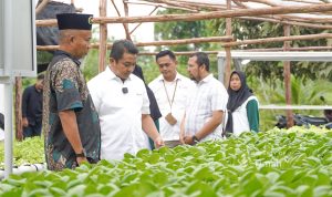 Dorong Pemberdayaan Ekonomi Lokal, PT Timah Gerakkan Program Hidroponik Bagi Kelompok Perempuan di Desa Sawang Laut