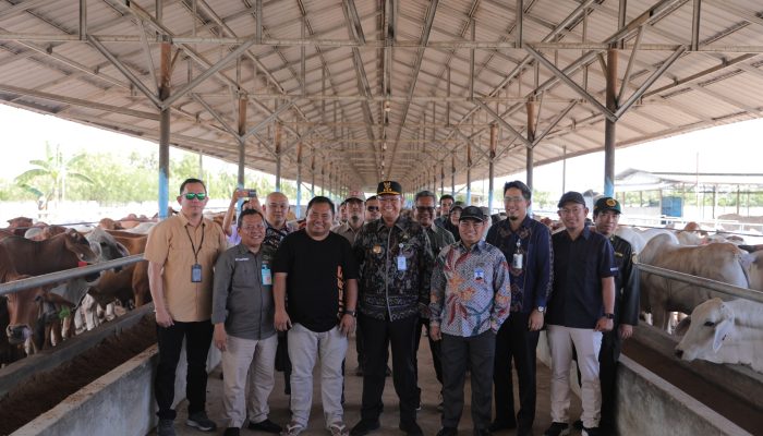 Stok Daging di Babel Menjelang Puasa dan Lebaran Aman