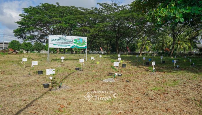 Kolaborasi Tingkatkan Ketahanan Energi, PT Timah Bersama PLN dan METI Tanam 1500 Pohon Angsana di Taman Energi Balai Karya