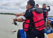 Jaga Kelestarian Kepiting dan Tingkatkan Ekonomi Nelayan, PT Timah Tbk Tebar 300 Bibit Kepiting Bakau di Pantai Kundur