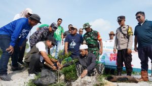 Tanam Pohon Peneduh di Kawasan Wisata Batu Tunggal, Langkah Nyata PT Timah Dalam Pelestarian Lingkungan dan Pariwisata Berkelanjutan