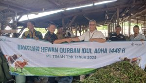 Pererat Silaturahmi, PT Timah Tebar Ratusan Hewan Kurban di Empat Provinsi