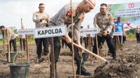 Sambut HUT Ke 80 RI, Polda Bangka Belitung Dan Jajaran Serentak Gelar Penanaman Ribuan Bibit Pohon