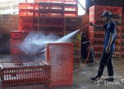 Dukung UMKM Makin Berkembang, PT TIMAH Tbk Serahkan Mesin Steam untuk Usaha Ayam Potong di Pangkalpinang