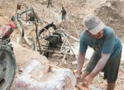 Dulu Takut Razia, Sekarang Tenang: Kisah Penambang Rakyat Setelah Bermitra dengan PT Timah