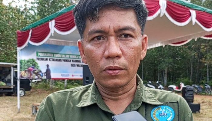 Formap Babel Dukung Program Pemkot Pangkalpinang Melalui Penanaman Pohon dan Pembagian Pupuk di Hutan Kota