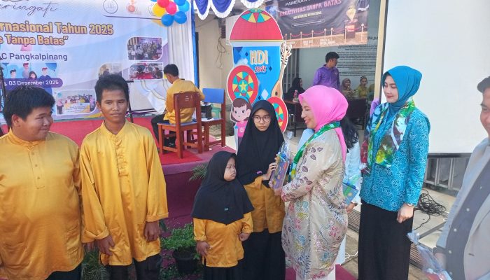 Peringatan HDI 2025, Tegaskan Dukungan PKK untuk Penyandang Disabilitas