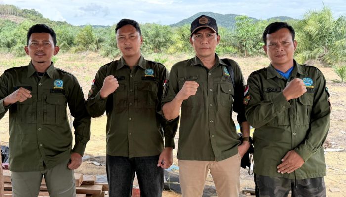 Surplus Buah, Harga TBS di Bangka Dianggap Kurang Sesuai: FORMAP Babel Minta Pemerintah Hadirkan Solusi Nyata Untuk Petani