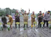 Gubernur Hidayat Arsani Pimpin Penanaman Padi Program Ketahanan Pangan Desa Adhyaksa 2026 di Namang Bangka Tengah