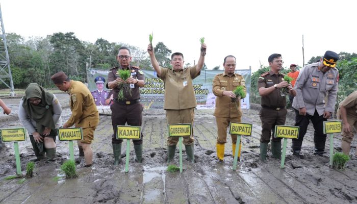Gubernur Hidayat Arsani Pimpin Penanaman Padi Program Ketahanan Pangan Desa Adhyaksa 2026 di Namang Bangka Tengah