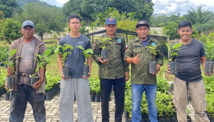 FORMAP Simpang Rimba Bagikan Ribuan Bibit Kopi, Dorong Pemulihan Lahan Eks Tambang dan Kesejahteraan Petani