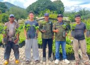 FORMAP Simpang Rimba Bagikan Ribuan Bibit Kopi, Dorong Pemulihan Lahan Eks Tambang dan Kesejahteraan Petani