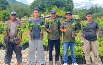 FORMAP Simpang Rimba Bagikan Ribuan Bibit Kopi, Dorong Pemulihan Lahan Eks Tambang dan Kesejahteraan Petani