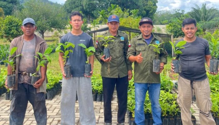 FORMAP Simpang Rimba Bagikan Ribuan Bibit Kopi, Dorong Pemulihan Lahan Eks Tambang dan Kesejahteraan Petani