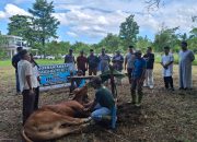 Arroyyan-HYR Indonesia dan Pejuang Babel Berbagi Qurban, Serukan Jaga Marwah Negeri Serumpun Sebalai