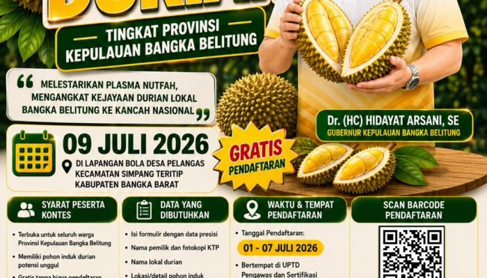 Pemprov Babel Gelar Kontes Durian Tingkat Provinsi, Dorong Durian Lokal Tembus Pasar Nasional
