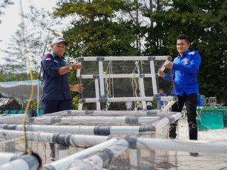 PT TIMAH dan HNSI Kolaborasi Tenggelamkan Atraktor Cumi di Perairan Bangka, Bantu Nelayan Hemat Biaya Melaut dan Jaga Ekosistem Pesisir