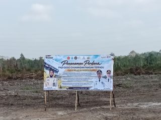 Tua Tunu Disiapkan Jadi Destinasi Wisata Pangan, Pemkot Pangkalpinang Dorong Kawasan Pertanian Terpadu